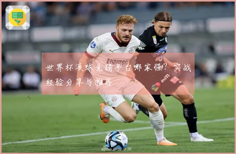 世界杯滚球竞猜平台哪家强？实战经验分享与推荐