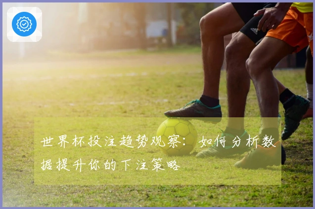 世界杯投注趋势观察：如何分析数据提升你的下注策略