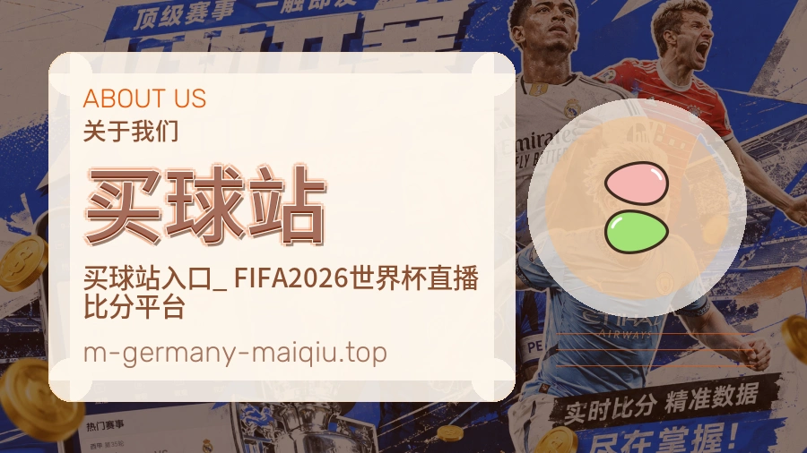 关于 买球站 团队与服务
